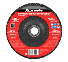 Круг лепестковый торцевой, P 24, 180 x 22.2 мм Matrix
