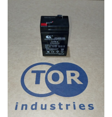 Аккумулятор для тележки WH-25ES 6V/4Ah свинцово-кислотный (WET battery)
