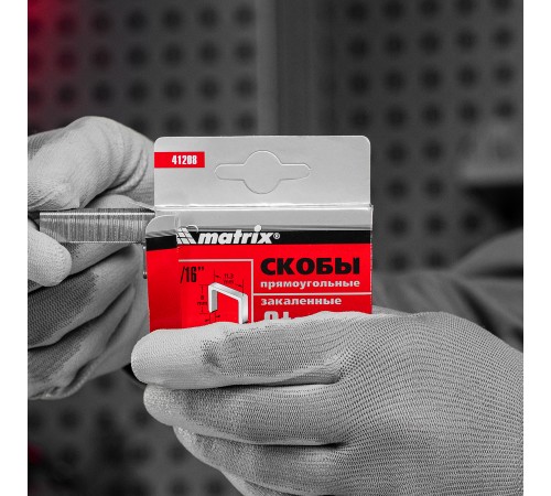Скобы, 8 мм, для мебельного степлера, закаленные, тип 53, 1000 шт Matrix
Скобы, 8 мм, для мебельного степлера, закаленные, тип 53, 1000 шт Matrix