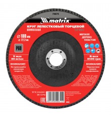 Круг лепестковый торцевой, P 60, 180 х 22.2 мм Matrix
